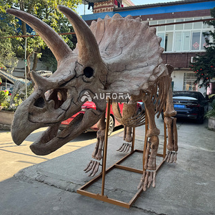 �����������Ǽܻ�ʯ���������Ǽܻ�ʯ�����b�Ʒ�@����Ȧ�[���Oʩ