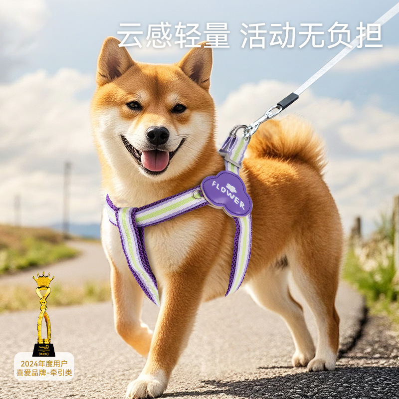 Nuevo arco iris divertido para perros, cinturón de pecho de cuerda de tracción en forma de Y, cuerda para perros pequeños y medianos para caminar, cuerda para perros de mascota