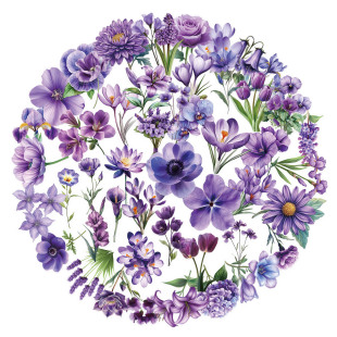 50��������ɫ����pet�N���羳��ü������b����~diyƴ�NС�D��