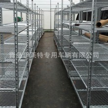 S]gDW̨܇߲˴ѿ͸͸ˮ܇