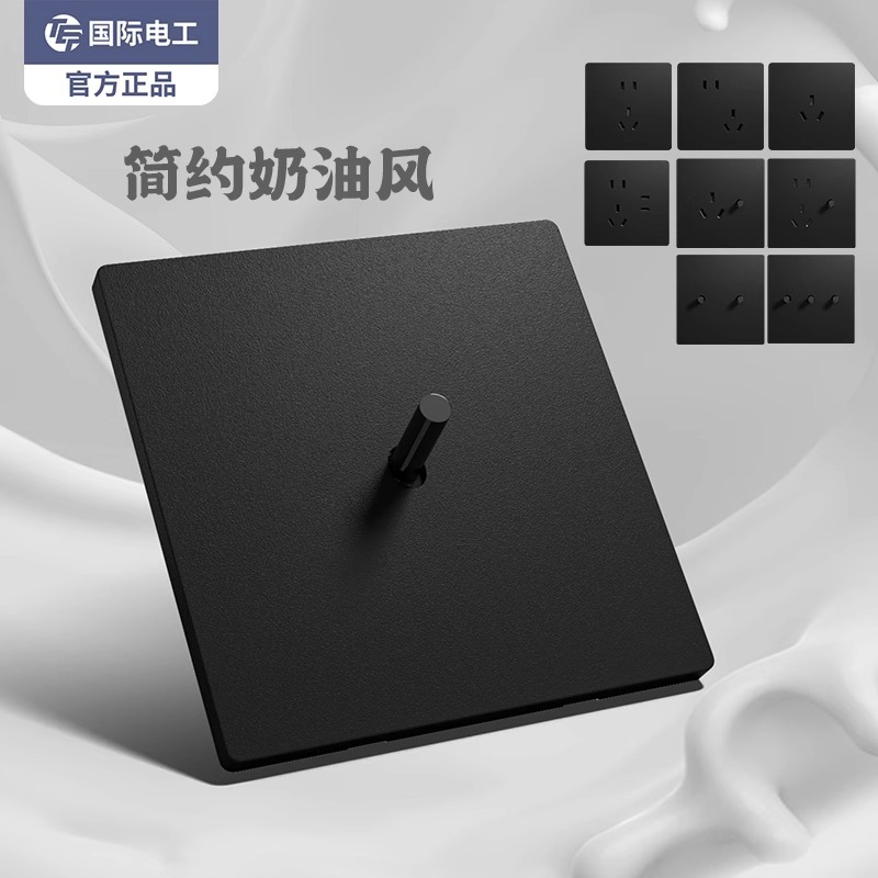 TEP国际电工工业风插座面板86型暗装双联开关五孔一开单控16A家用