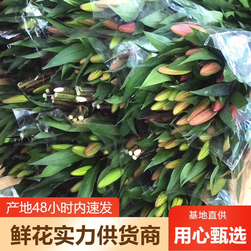 香水百合鲜花批发云南鲜花直批婚庆布置花店摆摊用花社区团购货源