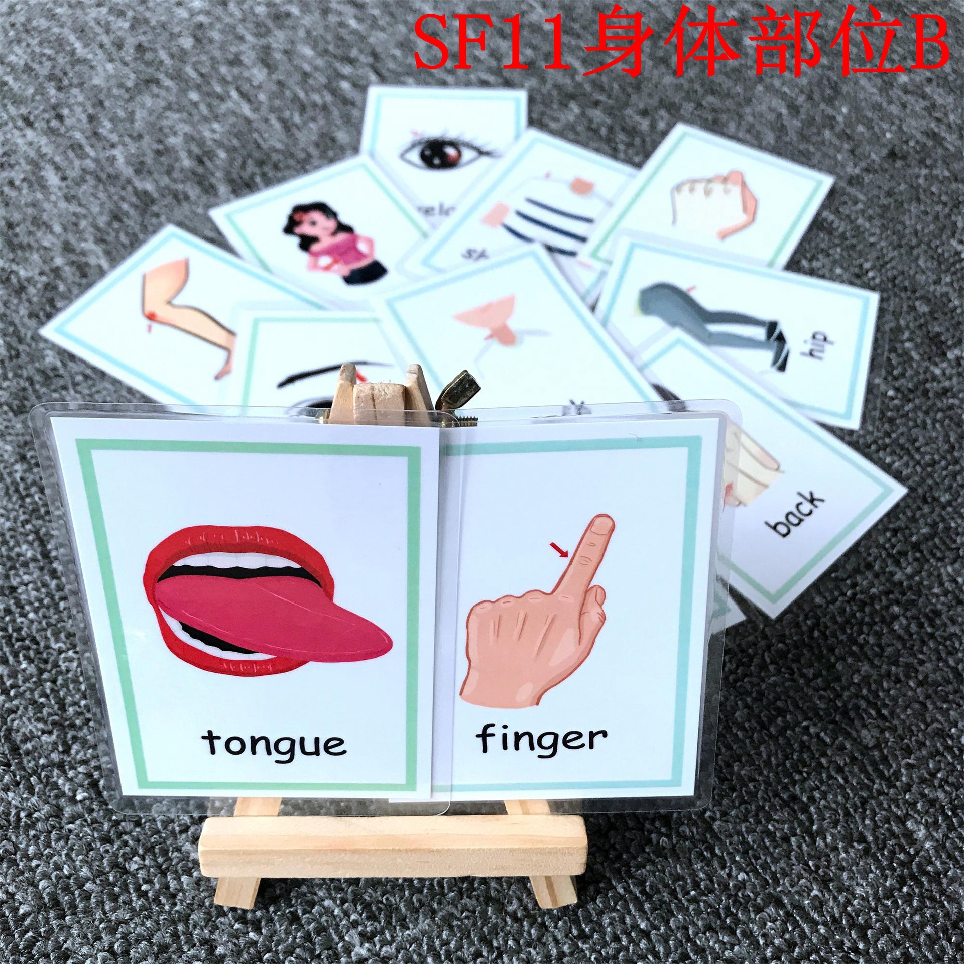 SF11 12 신체부위B