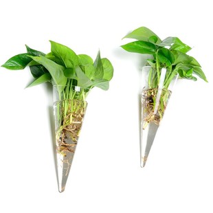 Creative Wall Hanging Hydroponic Glass Vase Home Decoration Artificial Blown Flower Arrangement Glass Crafts