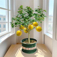 ˮʘԎָ҃oļʳõԘ߮a