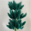 Dark green rabbit tail 60 bunch
