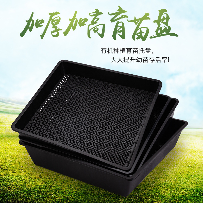 多肉育苗盘正方形小黑方托盘叶插盘育苗盒塑料花盆整理框育苗盘黑
