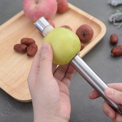 Home Kitchen Stainless Steel Fruit Core Remover Jujube Apple Core and Pit Remover Seedless Meat Fruit Separation Tool