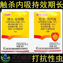 ����t�ɚ��M�� ���x������+���x����ͪ���wʭ���x�׷�ʭ���x��