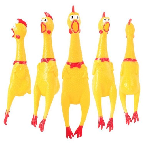 Screaming chicken, screaming chicken, venting, chicken playing tricks on people, creative sounds, funny dogs, funny cats, pet toys wholesale