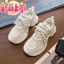 ļ͸WϵЬŮ2024¿ٴ͸ϵeЬܲЬٴ\ӳЬ