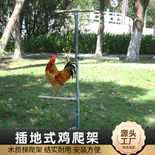 �S�����l���ʽ�u���� ����С�u�����U ľ�ƿɲ�жС�u������