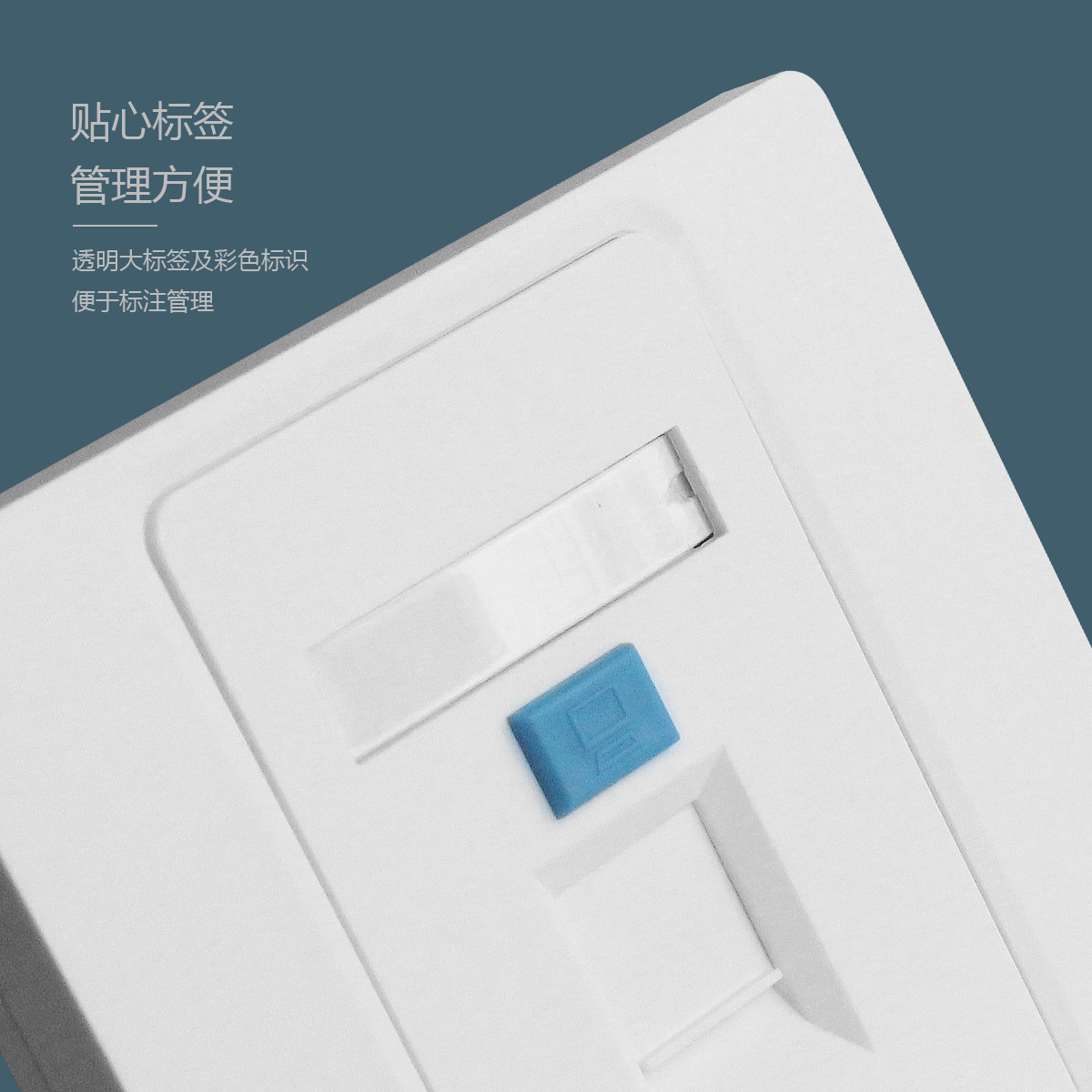 供应 面板 斯曼特4326六类非屏蔽网络免打模块单口86面板 白色