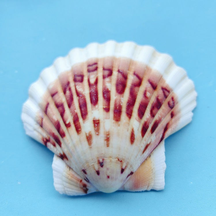 MTXX_20240319_144727830