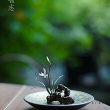 ��t���ֹ���t��������������~̫��ʯ����t��������  �m��