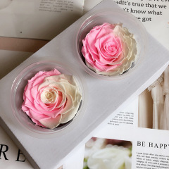 幻花永生花巨型A級7-8玫瑰2朵/盒花材材料仿真花保鮮花diy小王子