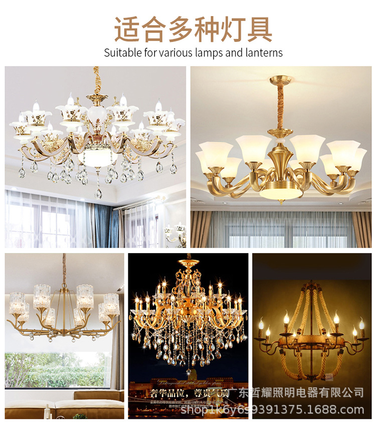 金色拉尾尖泡_04