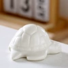 Turtle white