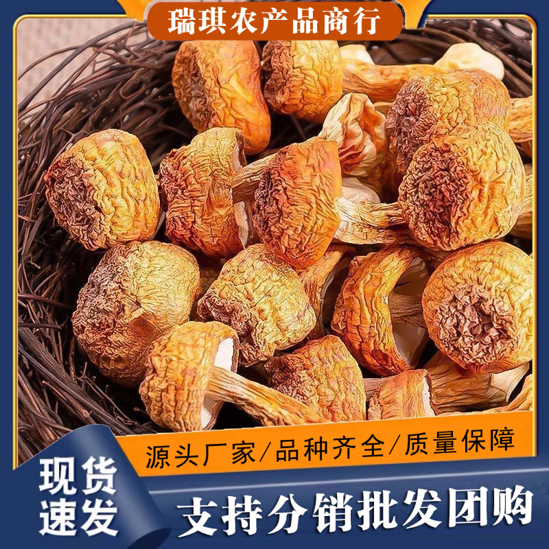 姬松茸干货云南特产菌类巴西菇干农家姫松菇茸菇鸡松菌松茸100g