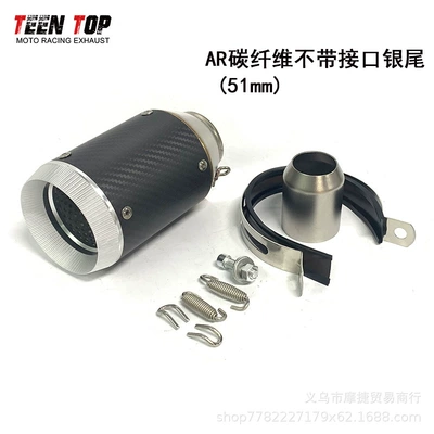 Exhaust manifold – Suitable for Motorcycle Kawasaki - carbon-fiber-round-mouth-silver-tail-51mm