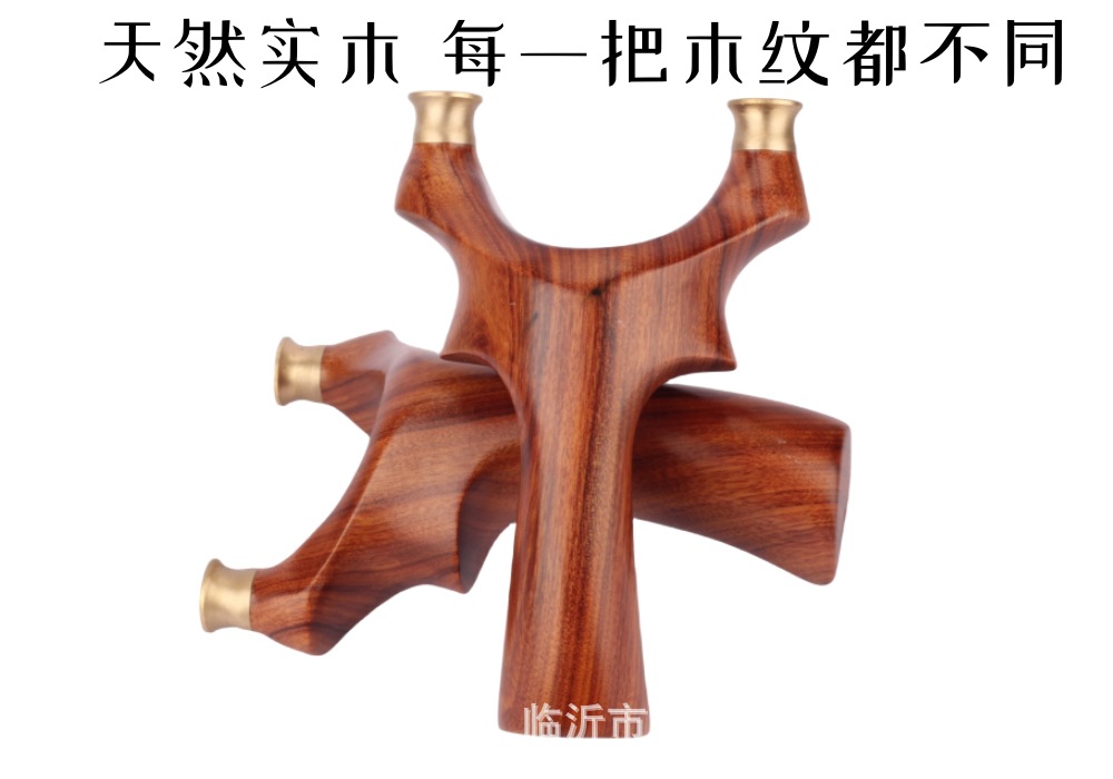 沙漠铁描述03.jpg