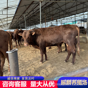 ��ľٝţ ��ţ�� Сţ�� �Bֳ�����Sţ���� ��ľٝ�r��