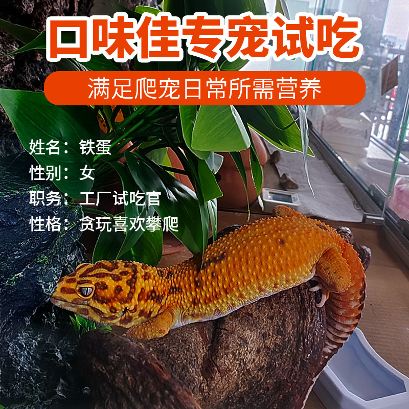 爬宠豹纹守宫钙粉现货供应小批量定制贴牌oem成熟配方效果质量好|undefined
