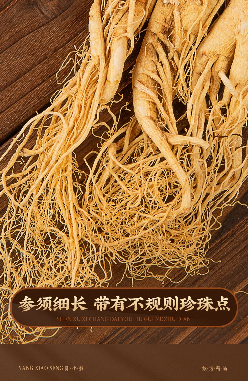 Dried Whole Ginseng Root Sun-Dried White Ginseng for Soup and Wine 500g Box in use