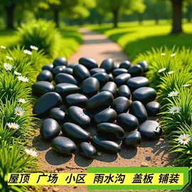 沙石砾石;地坪;造景/装饰