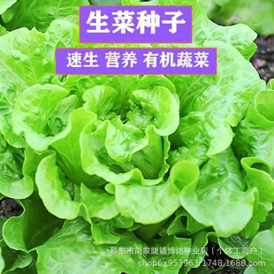 ���˷N���_�R�����̨���l�ļ����������ͥԺ�˷N���ļ������߲�