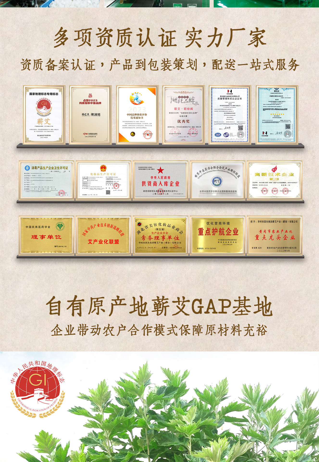 Moxa Sticks Ai Tiao 艾条 3 Year Pure Mugwort Moxibustion Rolls 10 Pack 8x20cm Whole Body Warming Use in use