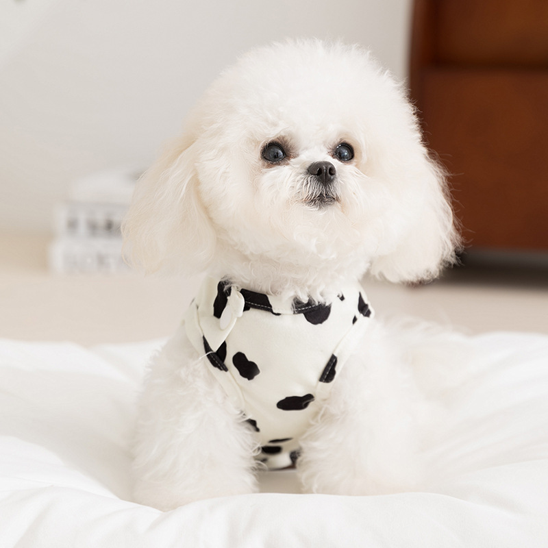Primavera y verano perros lindos bananos sonrientes cómodos bolsas sin mangas abdominales para gatos mascotas ropa para el hogar