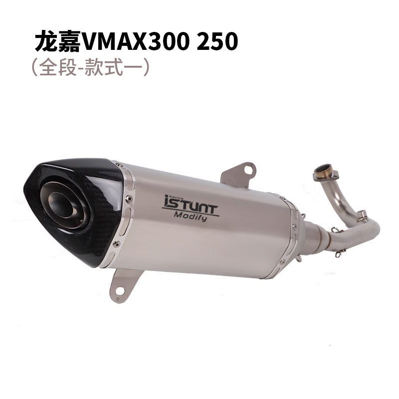 龙嘉300-1