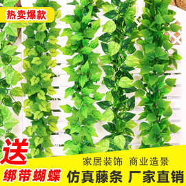 仿真藤条绿萝葡萄叶吊顶装饰过胶假树藤蔓塑料花藤绿叶包管道遮挡