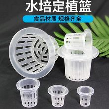 水培定植篮蔬菜无土栽培设备塑料加深种植蓝水耕植物定植杯固根器