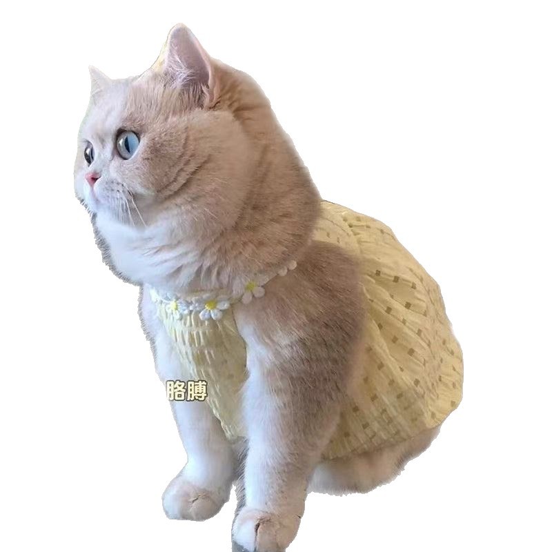 Летнее платье-юбка для кошек и собак