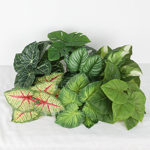 ������~��Gֲֲ��쾰�S������O���~�����~�b����~ֲ��