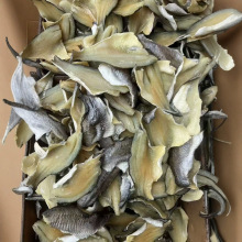 �~��  ���~��Ƭ��� ���l ���r��؛ ��ζ �彭�~Ƭ�཭�~Ƭ���~��