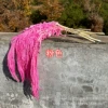 5 pink