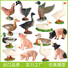 仿真农场家禽模型玩具鸡鸭鹅母猪野猪马奶牛火鸡儿童认知礼物摆件