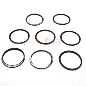 Piston Ring Is Suitable for Bmw F07 F12 F13 F02 F04 E70 E71 E72 11257574822