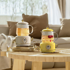 Household Multifunctional Fully Automatic Glass Health Pot Electric Heating Steamer Small Mini Office Flower Tea Maker Wholesale