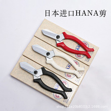 �ձ�����HANA���廨�������ռ�Сԭ����֦��ʡ��������ֻ��չ���