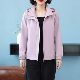 �_�h�����׶̿�Ů�b����2026�¿������ꋌ���b�����Bñ���e�A����