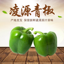 厂家批发产地直供新鲜青椒2kg礼盒装饱满圆润家庭菜肴辅食蔬菜椒