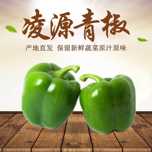 �S�����l�a��ֱ�����r�ཷ2kg�Y���bM�A����ͥ���P�oʳ�߲˽�