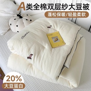 Class A Double-layer Yarn Soybean Fiber Quilt Winter Quilt Air-conditioning Quilt Single Spring and Autumn Quilt Children's Four Seasons Universal Quilt Core