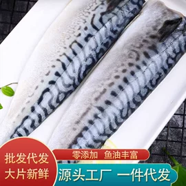 海参;鱼类;贝类