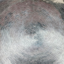 ?ֹ呴F_ȼ偺TF偟oTʽճ