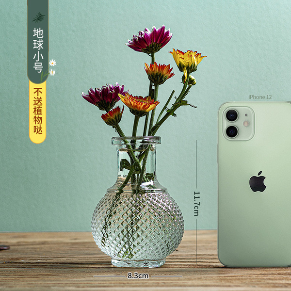 Madrid's French retro glass vase transparent small -caliber flower…